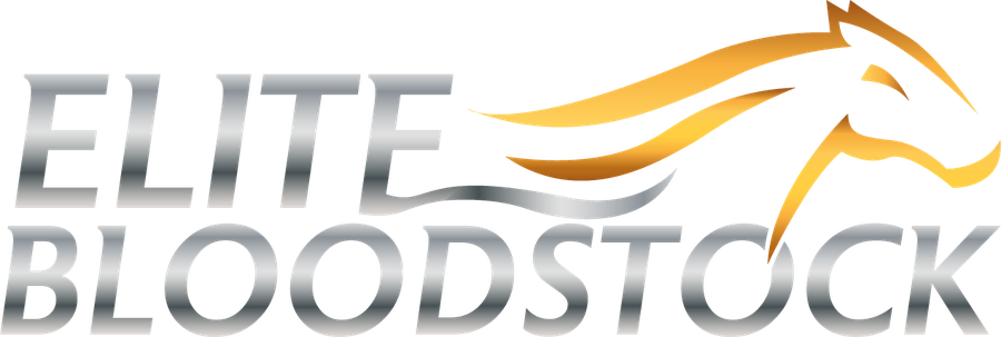Elite Bloodstock